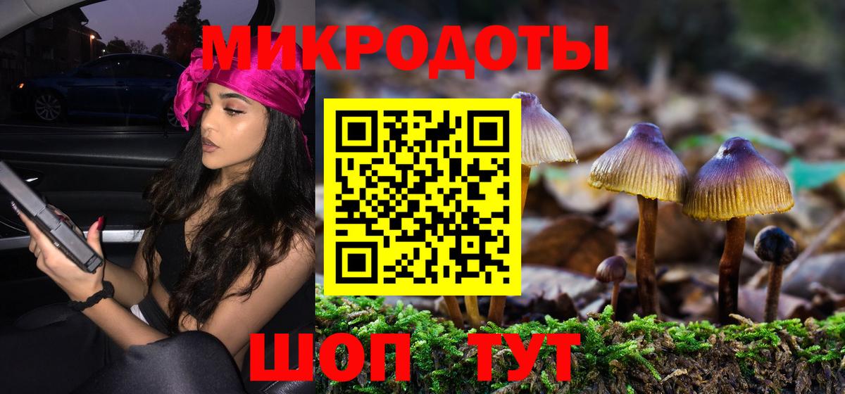 Псилоцибиновые грибы мицелий Тихорецк